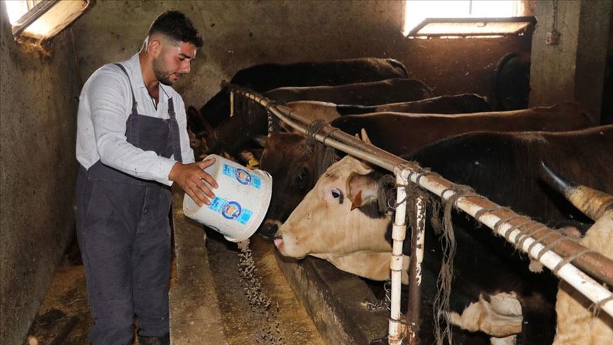 Babasının hobisi genç girişimciyi işinin patronu yaptı