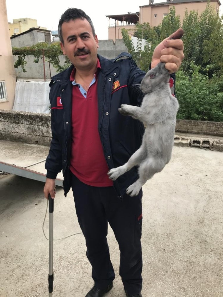 Bacanın içine düşen tavşan kurtarıldı 