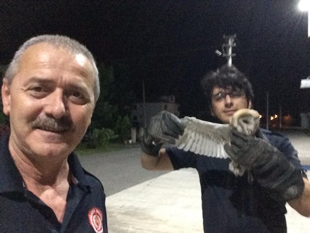 Bacaya sıkışan baykuşu itfaiye kurtardı 