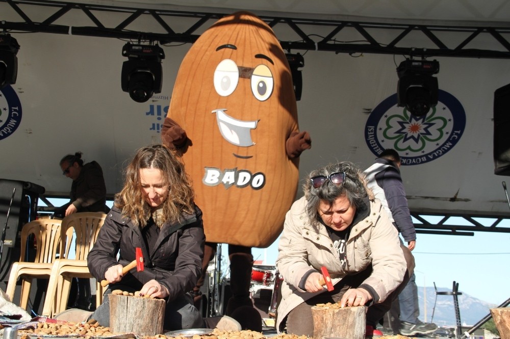Badem festivalinde en iri yetiştirici ve en çok kıranlar ödüllendirildi 