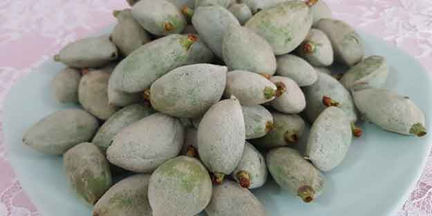 Bademin kilosu 70 liradan düştü!