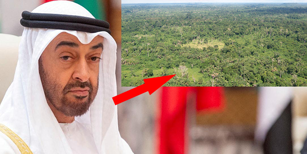 BAE bu kez ormanlara göz dikti! Satın almak için harekete geçtiler