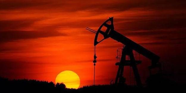 BAE OPEC kararlarına uyacağını açıkladı