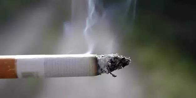 BAE şirketi Mısır tütün devinden 625 milyon dolar fiyatına hisse satın aldı! Bu gelişme iş birliğini güçlendiriyor