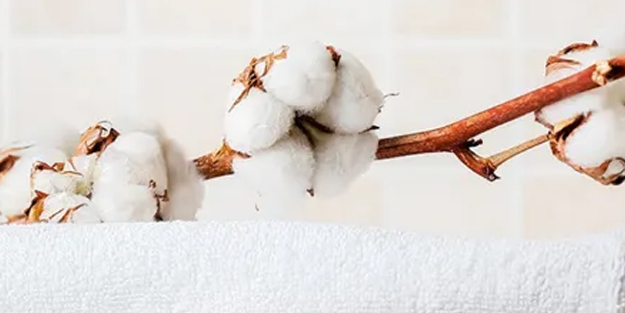 BAE'den Türkiye'ye beklenmedik talep: pamuklu havlu talep ediyor! Türkiye'yi seçti