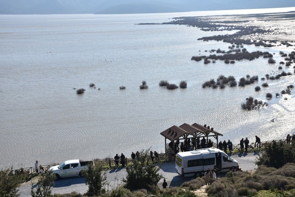 Bafa Gölü’nde kuş gözlemi etkinliği yapıldı 
