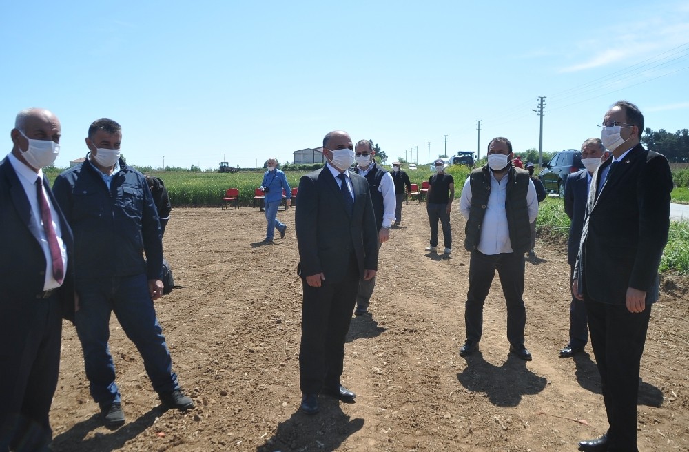 Bafra Ovası’nda damlama sulama çeltik ekimi 