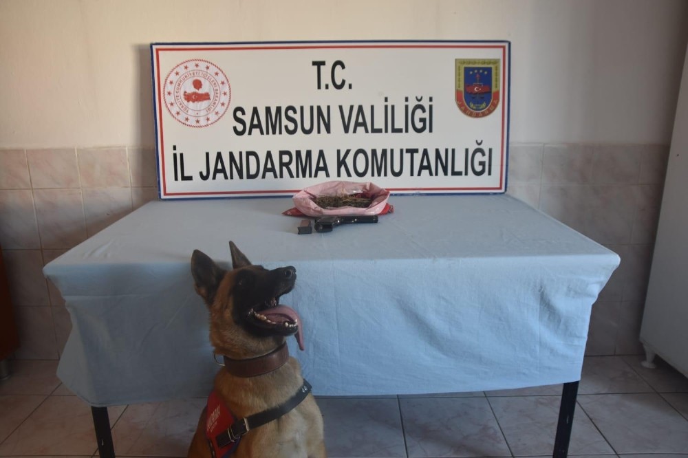 Bafra’da kubar esrar ele geçirildi 