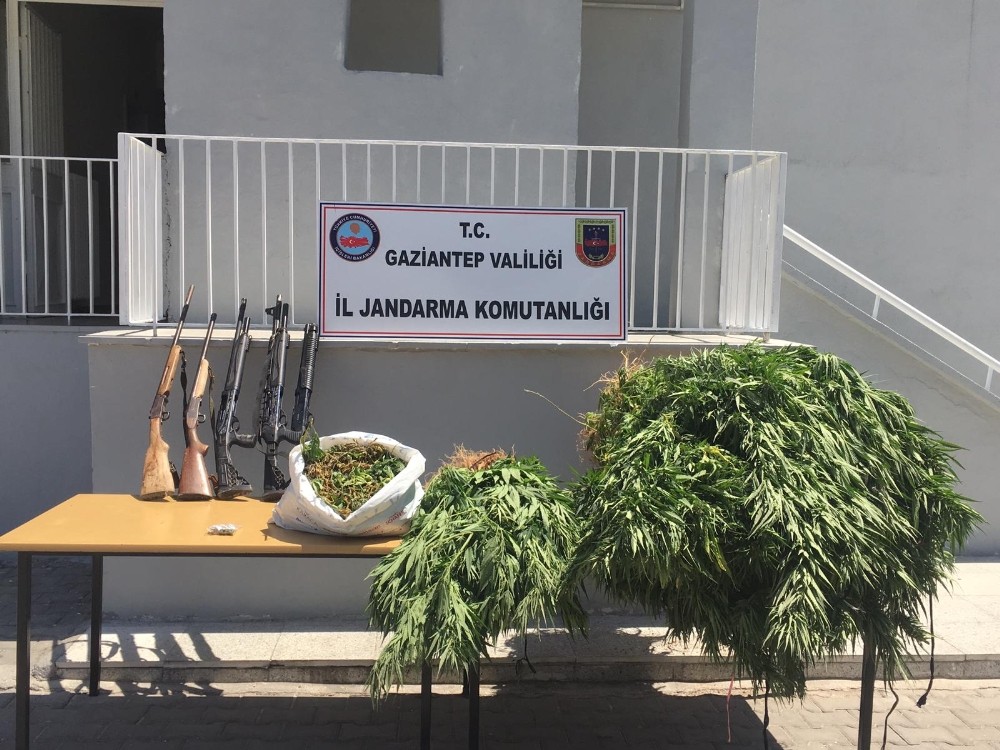 Bağ evine uyuşturucu operasyonu: 1 gözaltı 