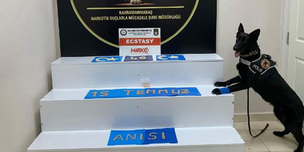 Bagaj döşemesindeki uyuşturucuyu, narkodik köpek 'Alfi' buldu