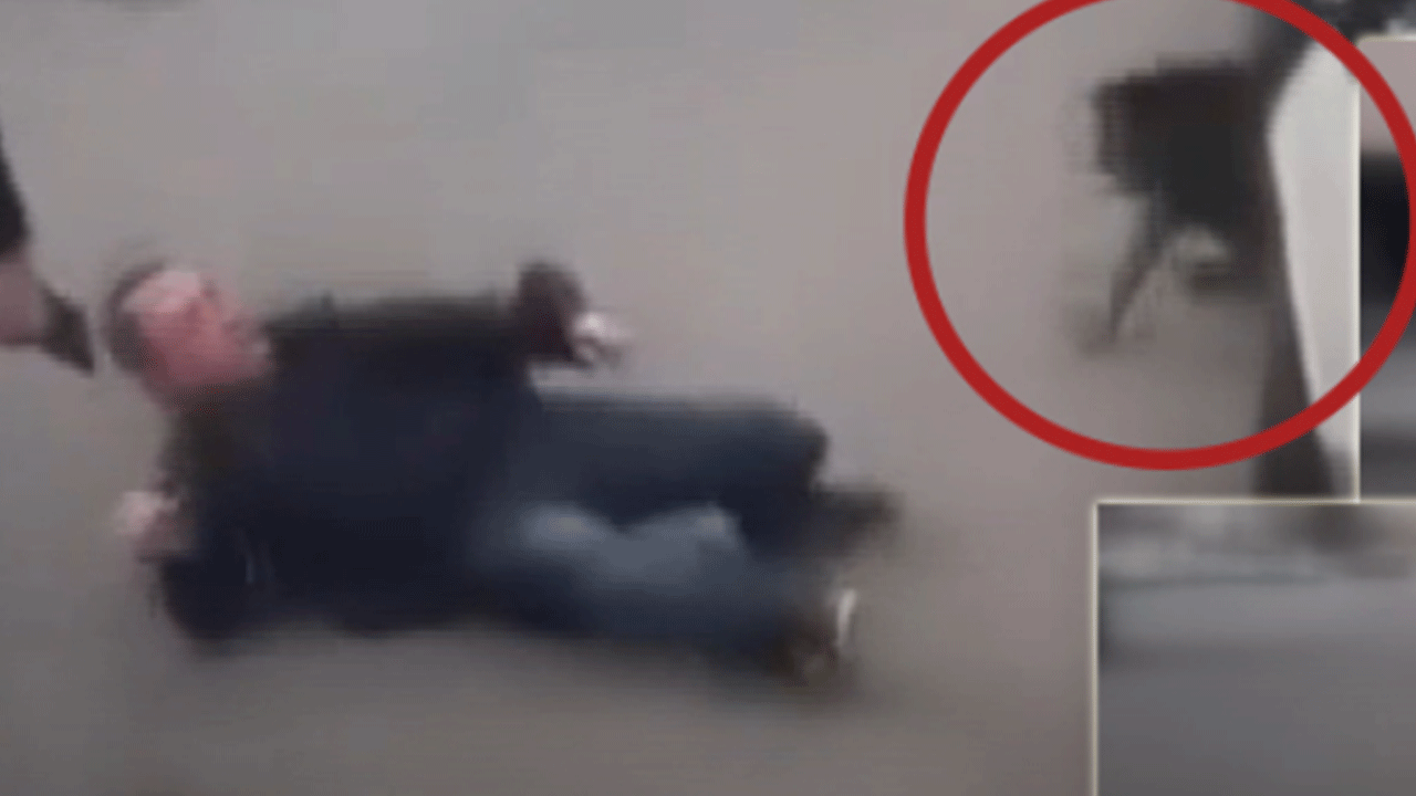 Bağcılar'da başıboş köpek dehşeti! Önüne geleni ısırdı!