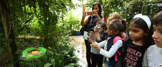 Bağcılarlı çocuklar kelebek Çiftliği’ni gezdi