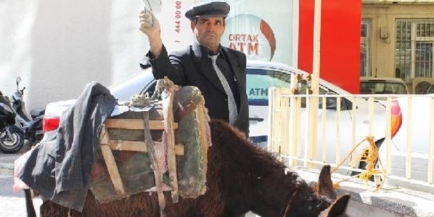 Bağımsız milletvekili adayı eşekle destek istiyor