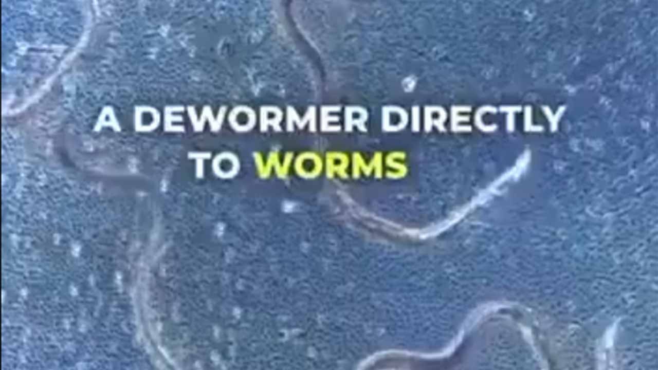 Bağırsak düşmanına doğal darbe! Vücuttaki parazitleri patır patır döküyor