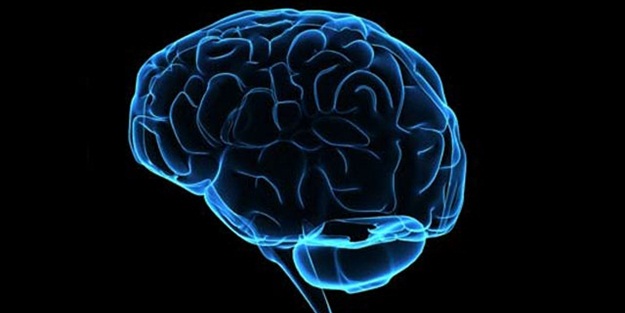 Bazı bağırsak mikropları beyinle iletişime geçebiliyor!