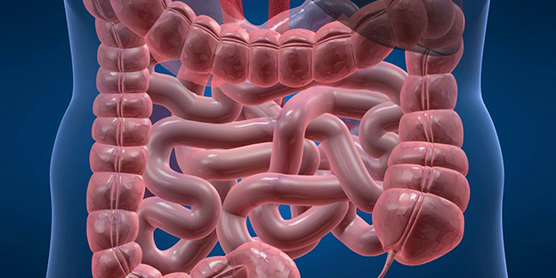 Bağırsakları motor gibi çalıştıran lif zengini 8 besin