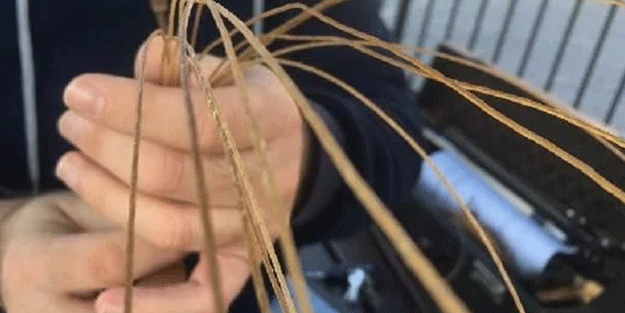 Bağırsaktan yapıyor! Avrupa'dan talep yağıyor