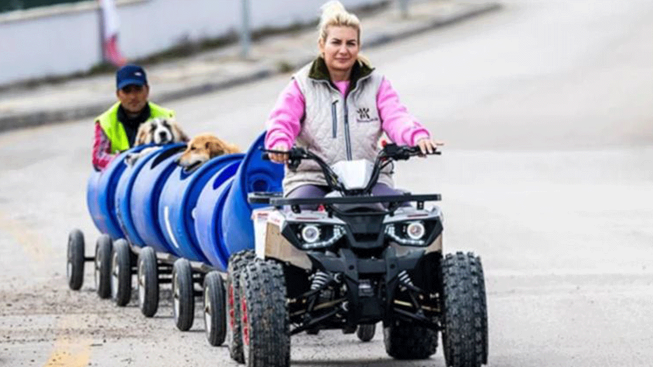 Bağışçıların parasıyla lüks hayat süren köpek velisi ve akrabalarına 12 yıl 3 ay hapis istendi: Sadece kamuyu 18 milyon 627 bin lira zarara uğratmışlar