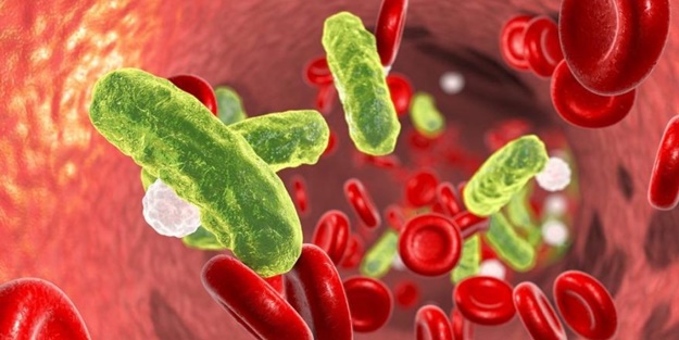 Bağışıklık sistemi anarşisi