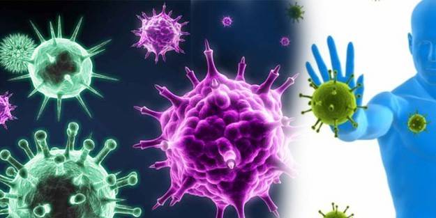 Bağışıklık sistemi nedir? İşleyişi nasıldır?