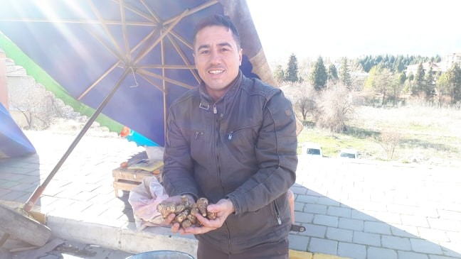 Bağışıklık sistemini güçlendiren yer elması ilgi görüyor 