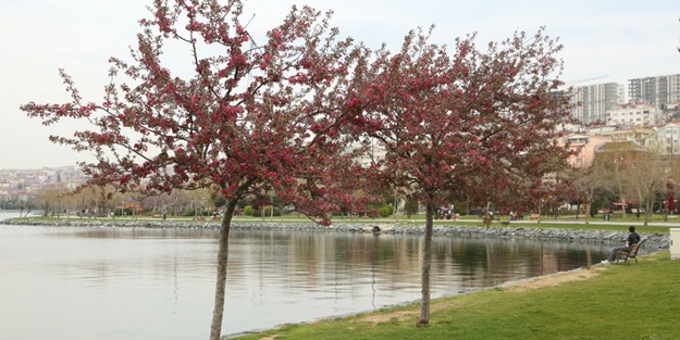 Bahar alerjisi kabusunuz olmasın!