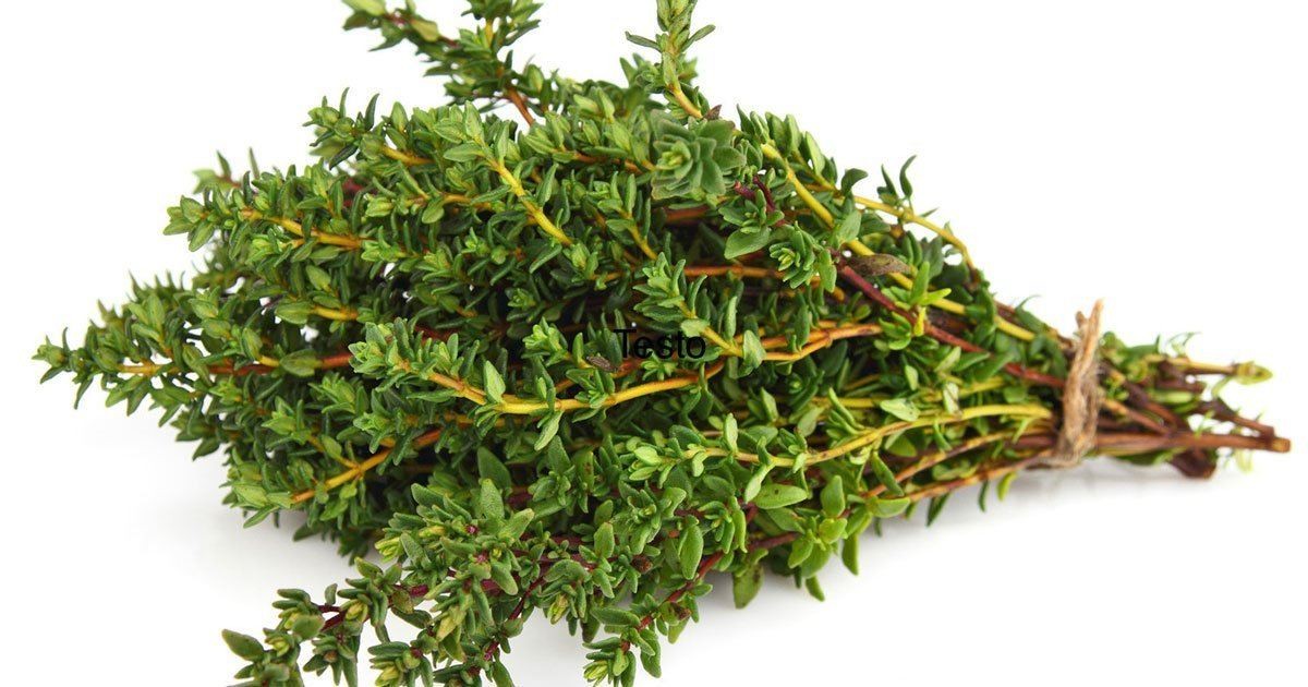 Bahar alerjisini durduran bitkisel yöntem, yeni öngörü: Gerçek faydası ortaya çıktı! Şok etti!