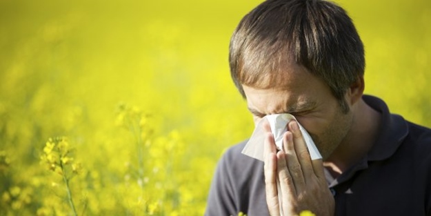 Bahar alerjisinin nedeni o tozlar