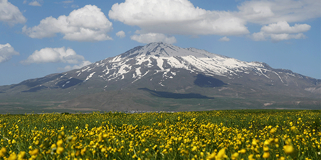Bahar çiçekleriyle renklenen Sütey Yaylası ve Süphan Dağı hayranlık uyandırıyor