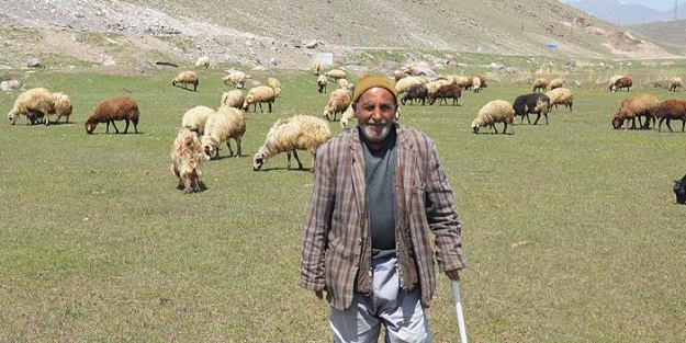 Bahar geldi, besicilerin yüzü güldü