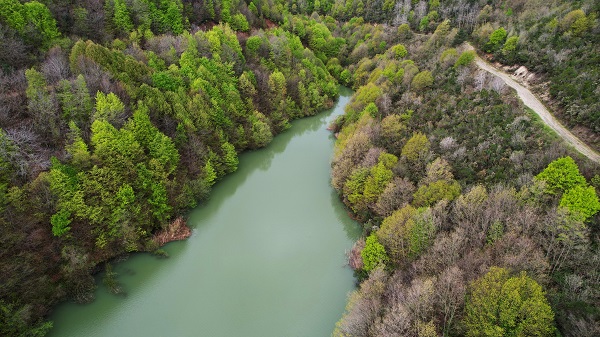 Doğa canlandı! İşte, tabloluk manzaralar