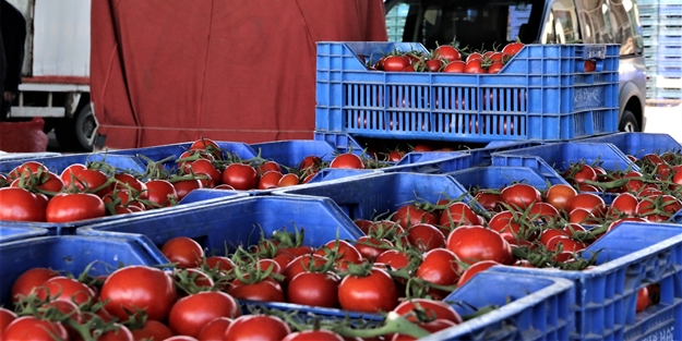 Bahar hareketliliği başladı... Fiyatlar yüzde 50 azaldı