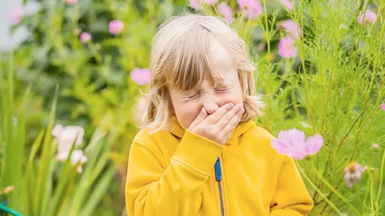 Polen alerjisine karşı 7 etkili önlem: Evlerimizin içine kadar giriyor!