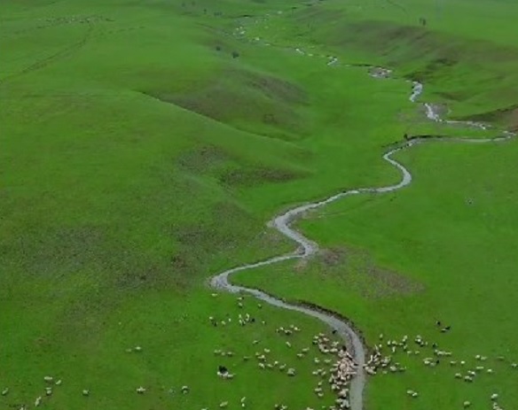 Bahar mevsiminde menderesler bir başka güzel