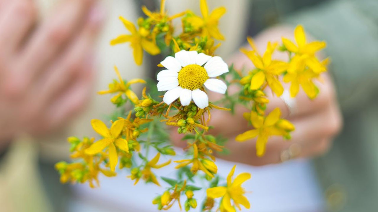 Bahar yorgunluğu olarak düşünülüyor! Aman dikkat ciddi bir hastalığın habercisi olabilir