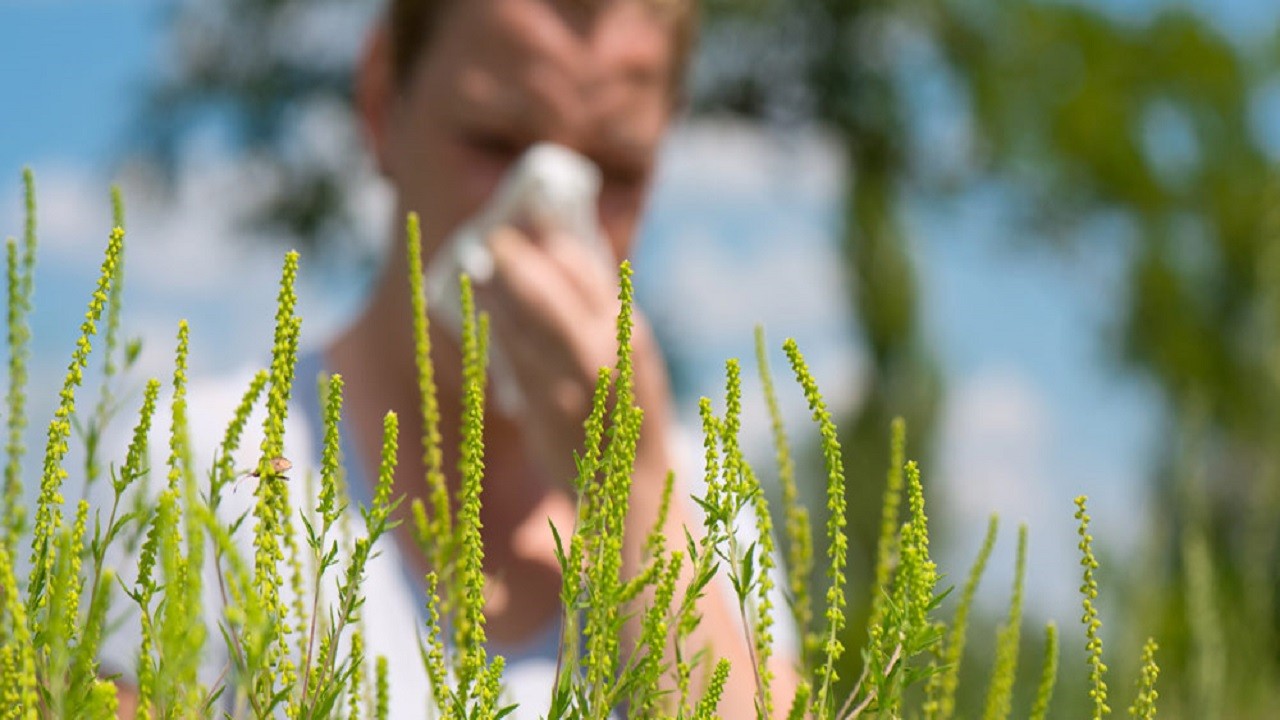 Bahar yorgunluğuyla karıştırılıyor! Bu belirtiler çok ciddi sonuçlara yol açabilir
