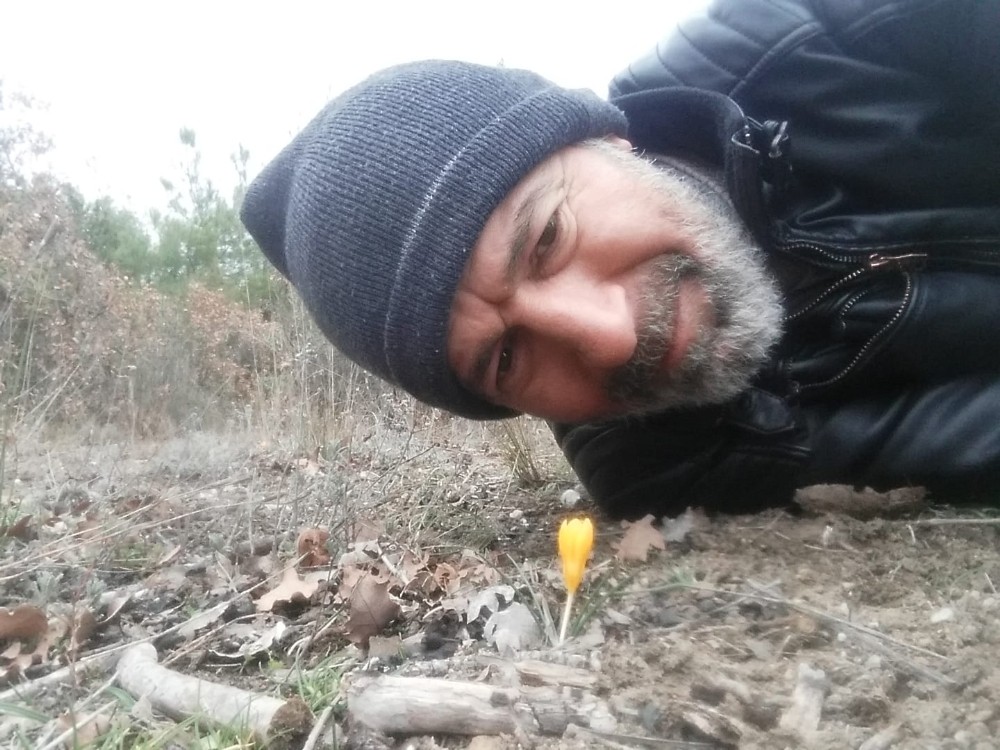 Baharın müjdeleyicisi ’sarı çiçek’ çiğdemleri çiçek açtı 