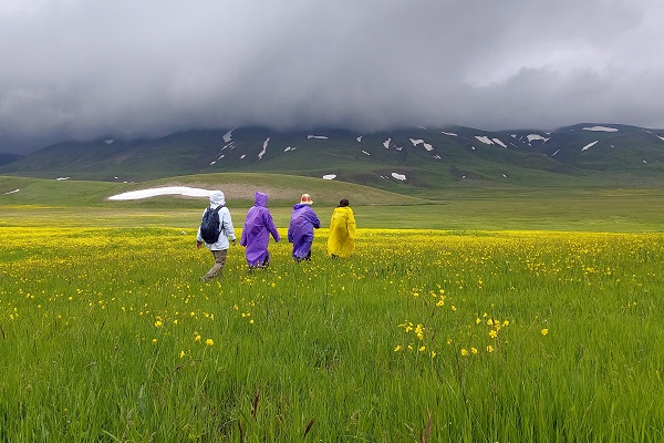 Baharın renkleri burada başka güzel: Cami Yurdu Yaylası