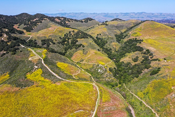 Baharın renkleri hayran bıraktı