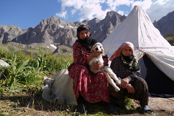 Baharla birlikte meralar şenlendi