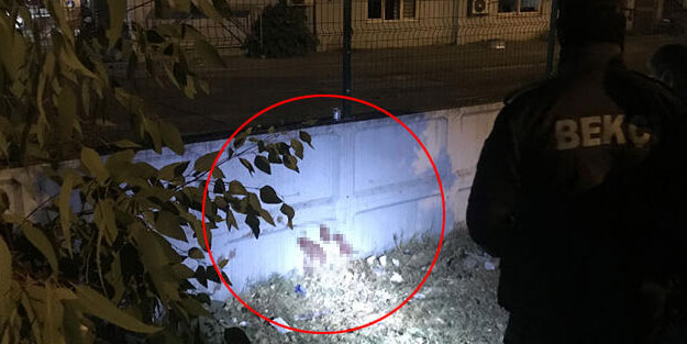 Bahçe duvarında bulundu! Hastaneye kaldırdılar