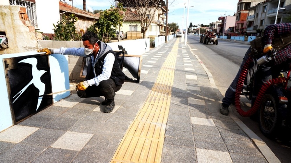 Bahçe duvarları martı ve kırlangıçlarla güzelleştirildi 