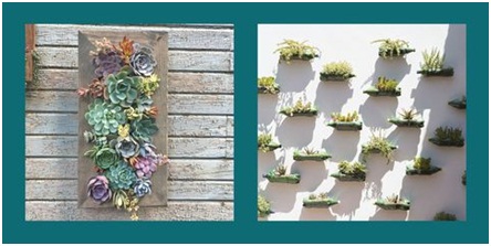 Bahçe duvarlarınızı muhteşem tasarımlarla renklendirin