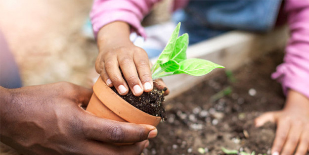 Bahçe işleri ile uğraşmak uyku kalitesini arttırıyor