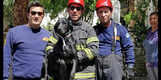 Bahçe kapısına sıkışan köpek kurtarıldı