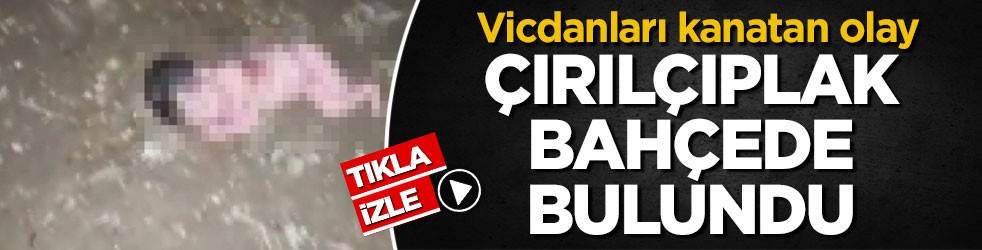 Bahçede yeni doğmuş bebek bulundu