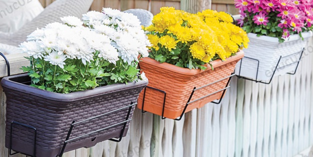 Bahçem yok balkonum var