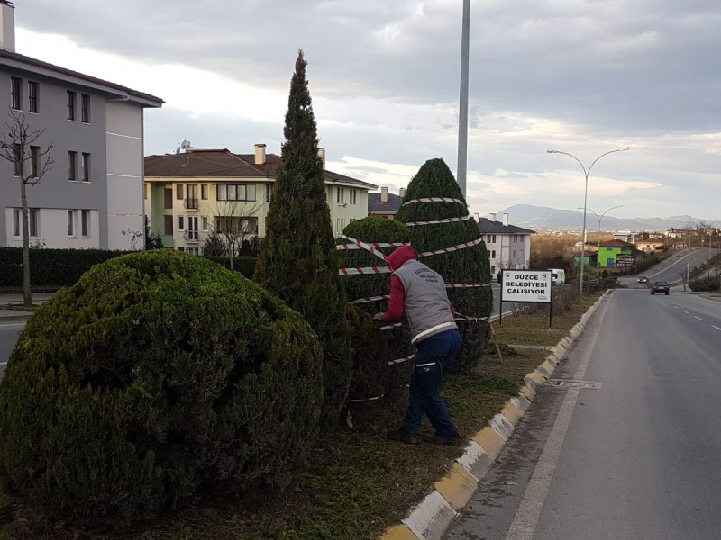 Bahçeşehir’de bitkiler koruma altına alındı 