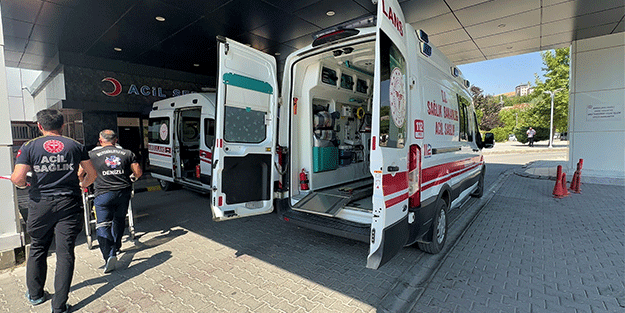 Bahçesinde bağlı köpeğinin saldırısına uğrayan kadın ağır yaralandı