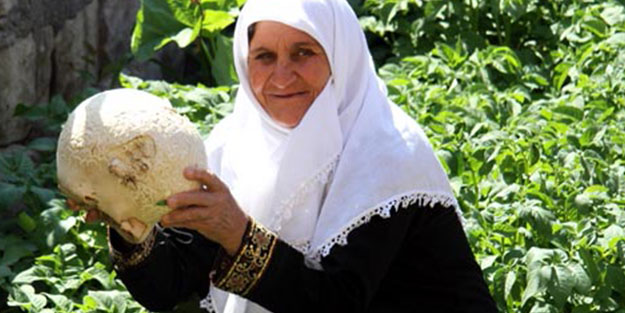Bahçesinde buldu ilk önce top sandı şimdi yanından ayırmıyor!